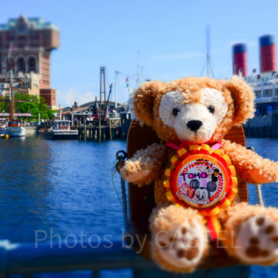 ディズニーシーの公式フォトスポット