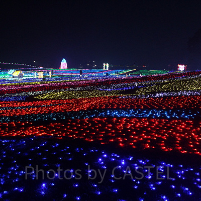 雨上がりの日は人もまばらでゆっくり散策できます