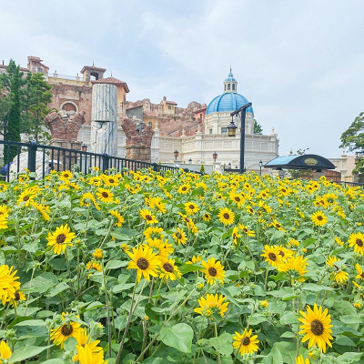 GoToトラベルで日帰りディズニー