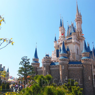 ディズニーランドで写真が撮れるオプションも