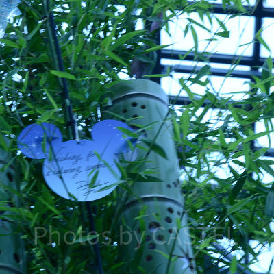 オリジナルウィッシングカード