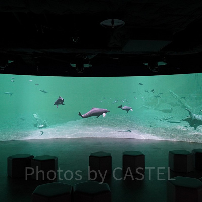 パノラマスクリーンゾーン