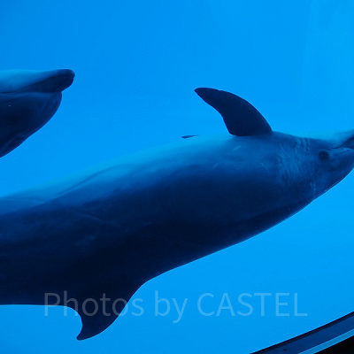 名古屋港水族館の周辺駐車場