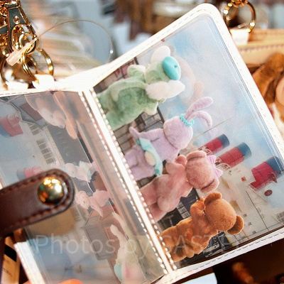 パスケース（中）