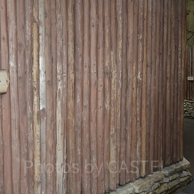 ジャングルクルーズ横の喫煙所までの通路（長め）