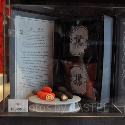 ピーカンチョコ（ブック型パッケージ）