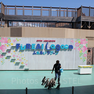 ペンギンのふれあいパフォーマンス