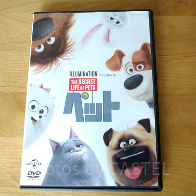 ペット／イルミネーション映画