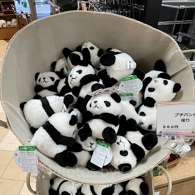 プチパンダ