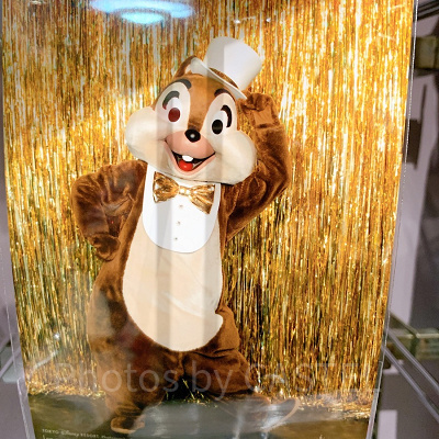 写真（チップ）