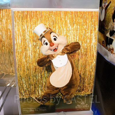 写真（デール）