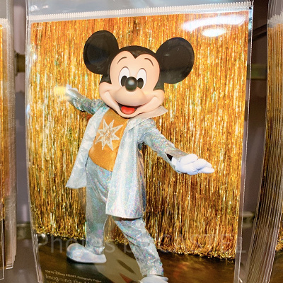 写真（ミッキー）