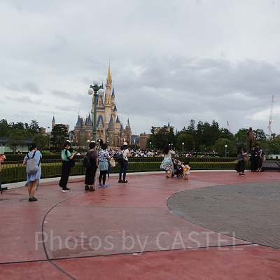 フォトサービスあり