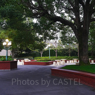 ディズニーランドのピクニックエリア