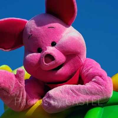 ピグレットのプロフィール