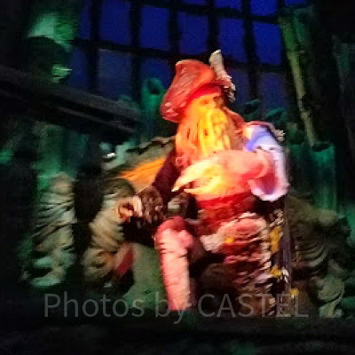 パイレーツ・オブ・カリビアンのタコ