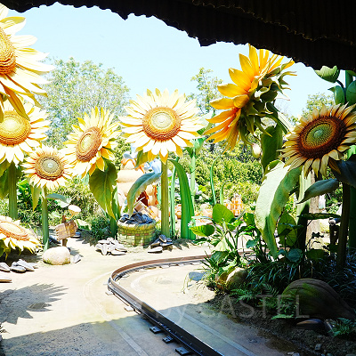 ピクシーホロウの夏のエリア