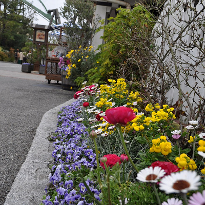 USJアミティエリアの植栽