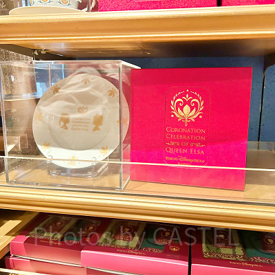 プレート(アナとエルサのフローズンジャーニーグッズ)