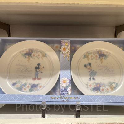 プレートセット