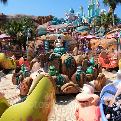 予測不能のヤドカリで遊ぼう