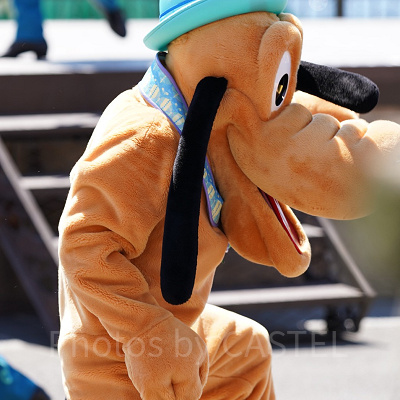 プルート