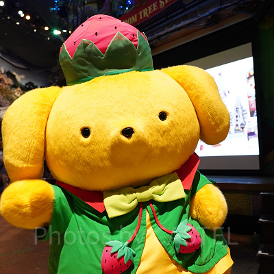 ポムポムプリン