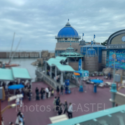 ポートディスカバリーの混雑状況