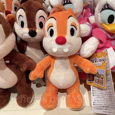 ポージープラッシー（デール）