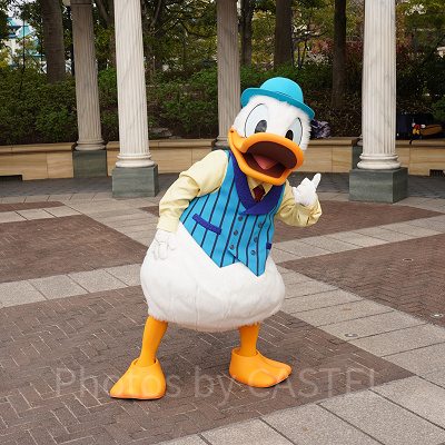 ドナルドが可愛くポーズ