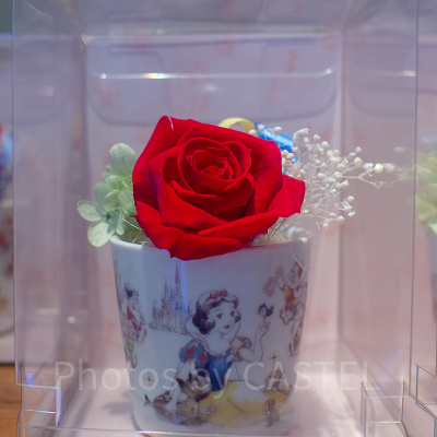 プリザーブドフラワー