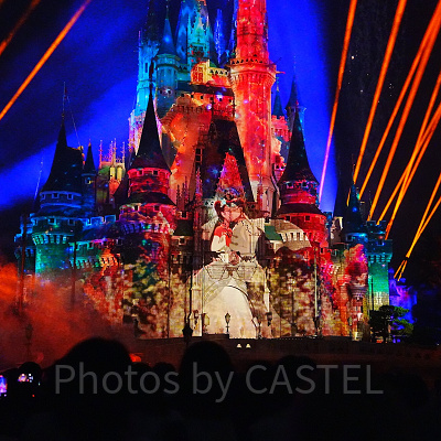 プリンセスと魔法のキス