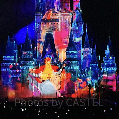 オーロラ姫、フィリップ王子