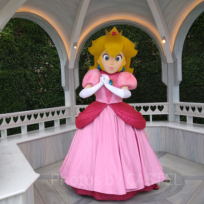 ピーチ姫
