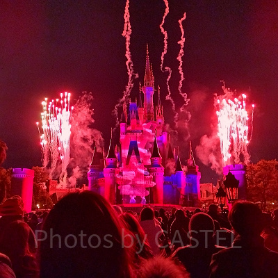 貸切ディズニー：リーチフォーザスターズ