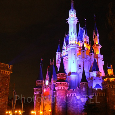 ディズニーランドでプロポーズ