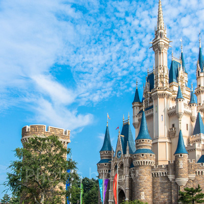 ディズニーランドでプロポーズ