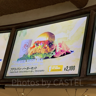 プテラノドンバーガーセット