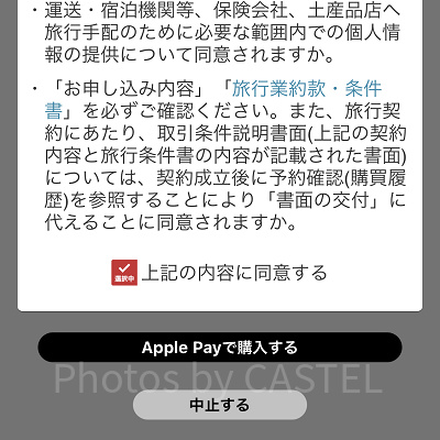 購入手続き（JAL）