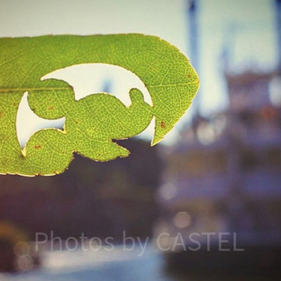 レイジングスピリッツの隠れミッキー