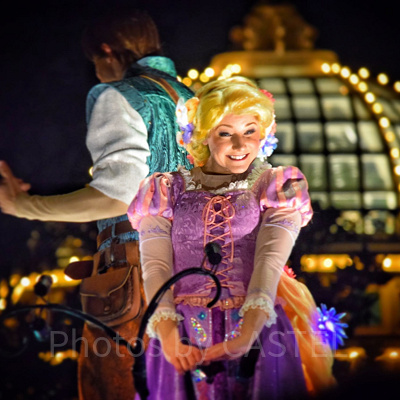 ラプンツェルの髪