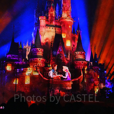 塔の上のラプンツェル