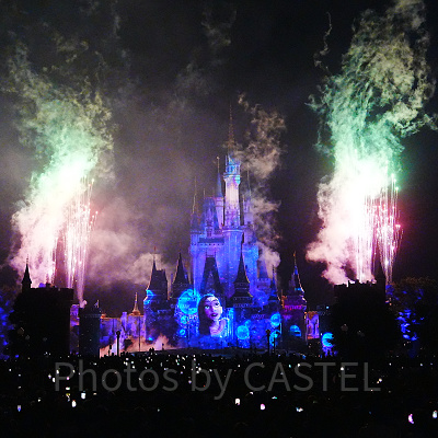 ウォルト像前の最前列から見たReach for the Stars