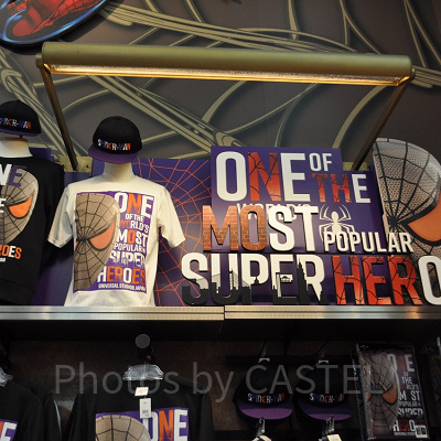 リアルグッズ（REAL GOODS)装飾／スパイダーマン