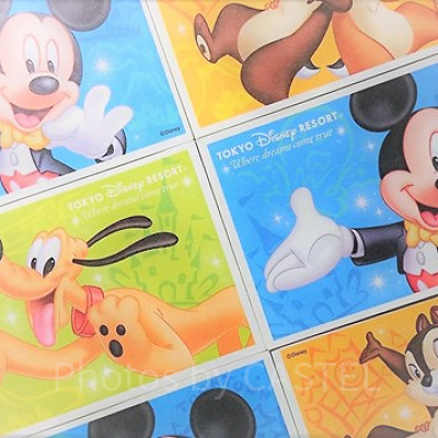 ディズニープリクラのおすすめ撮り方①：パークチケットと一緒に