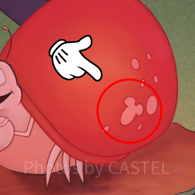 赤いヤドカリに隠れミッキー