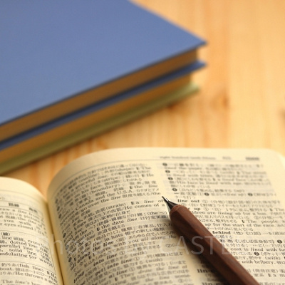 ディズニーワールドイングリッシュ（DWE）の口コミ①