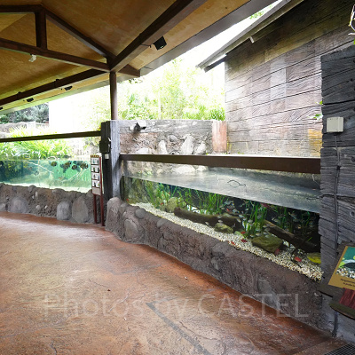 リバーワンダー：施設はすべて屋根付き＆屋内施設