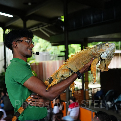 リバーワンダー：ワンス・アポン・ア・リバー（川の物語）