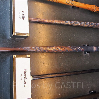 ナナカマド（1/21～2/17）